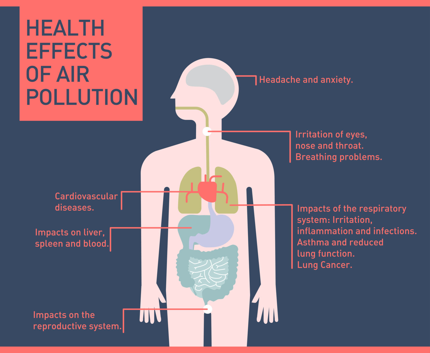 Air Pollution Health Problems Health Effects Of Air Pollution And