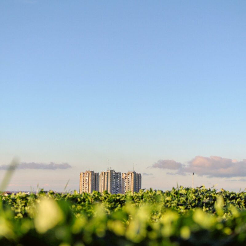 Iva rajovic 5 R Lnl S71 N3g unsplash